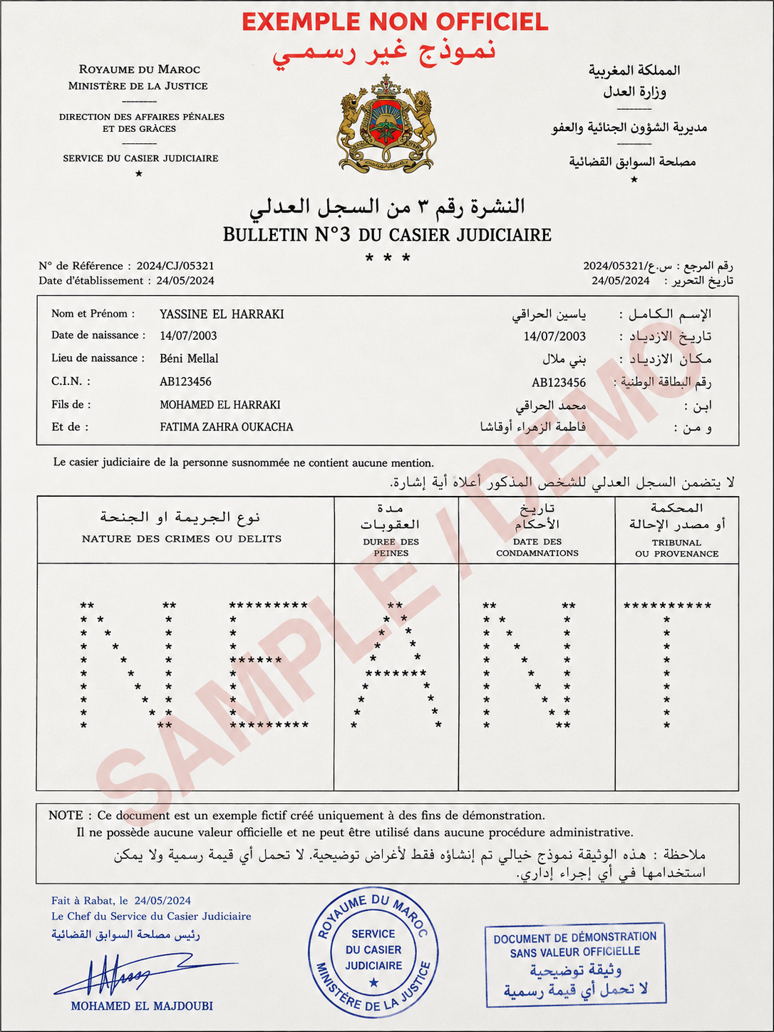 Criminal record example